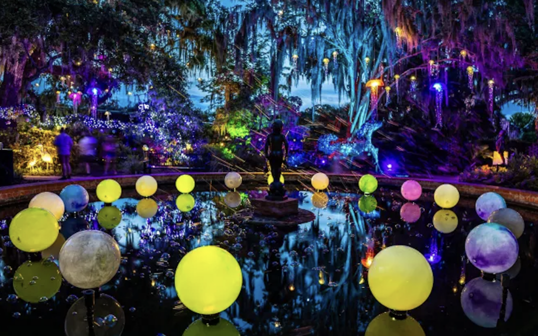 Discover the Magic of Brookgreen Gardens